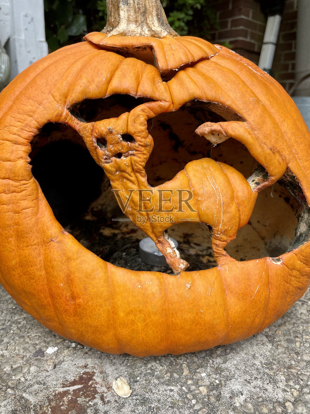 南瓜雕刻-腐烂照片摄影图片