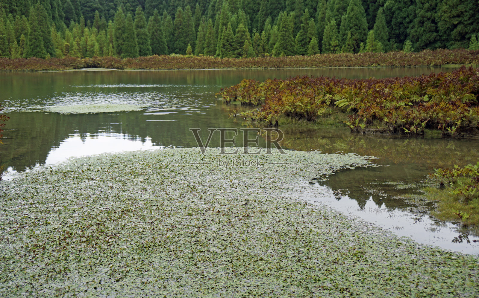 亚速尔群岛令人惊叹的风景照片摄影图片
