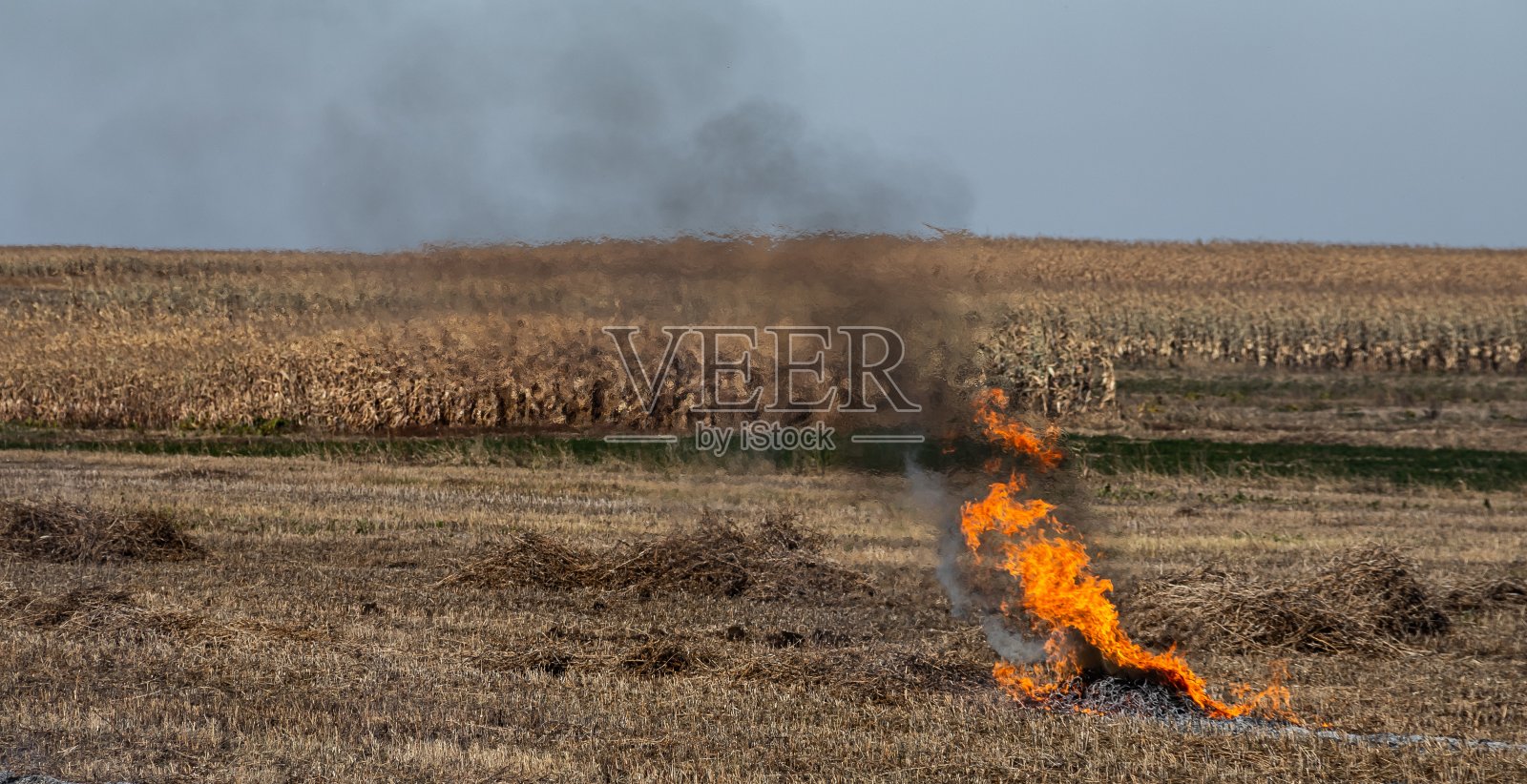焚烧农业废物-烟雾和污染。在农田里燃烧干草和秸秆所排放的有害气体照片摄影图片