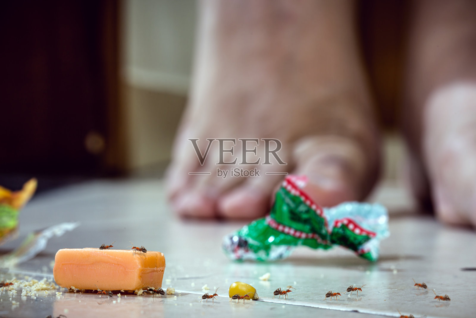 蚂蚁在肮脏的地板上行走，子弹和面包屑在地板上，房子害虫，小蚂蚁，脚在四处走动照片摄影图片