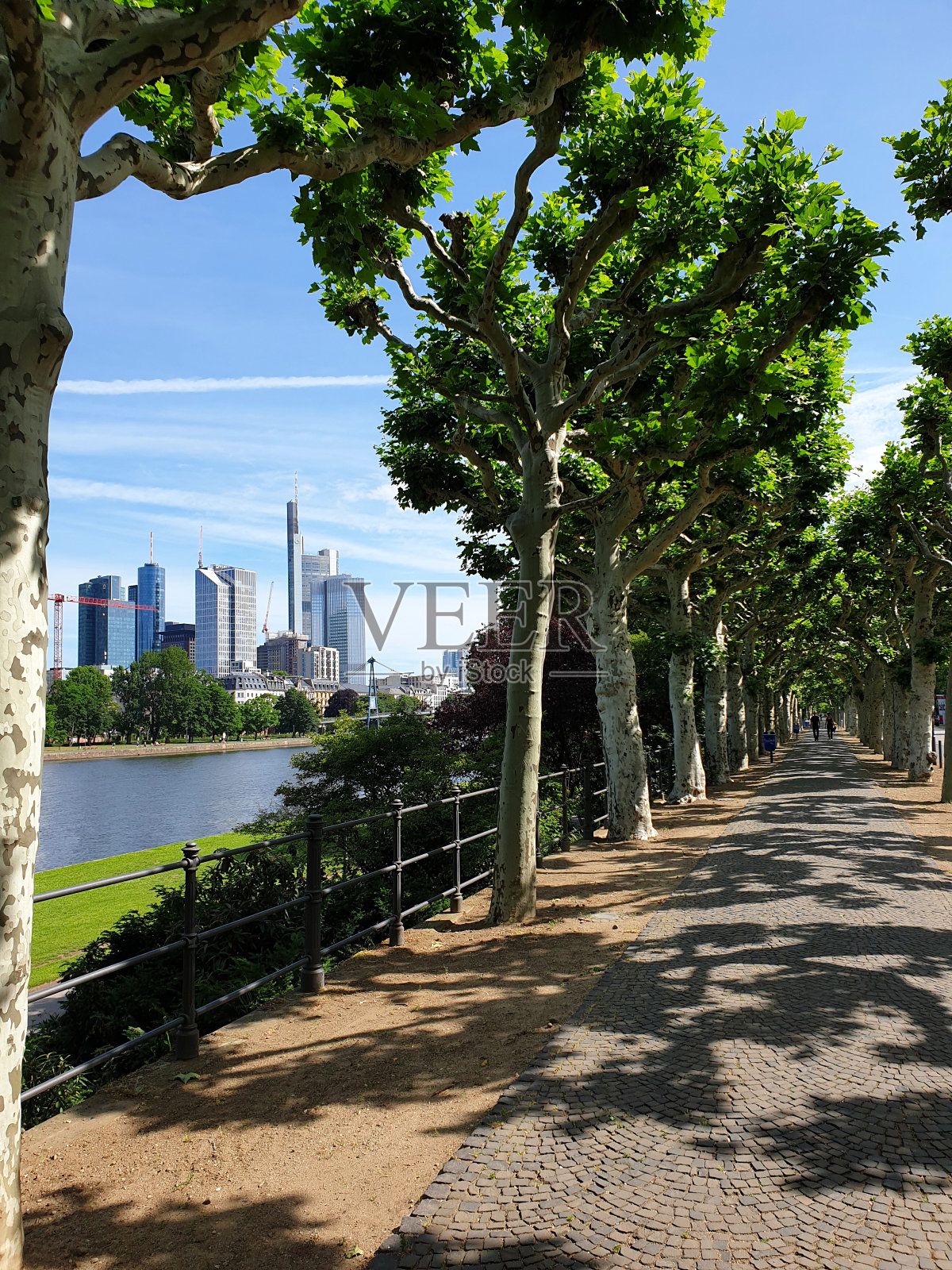 德国法兰克福河畔漫步照片摄影图片