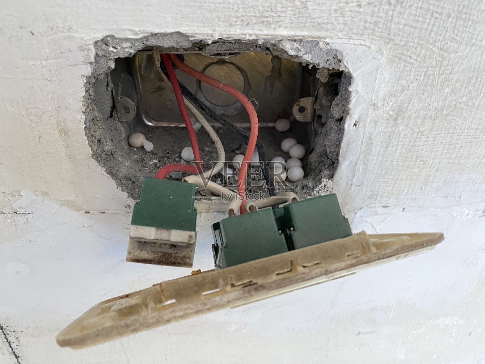 蜥蜴蛋照片摄影图片