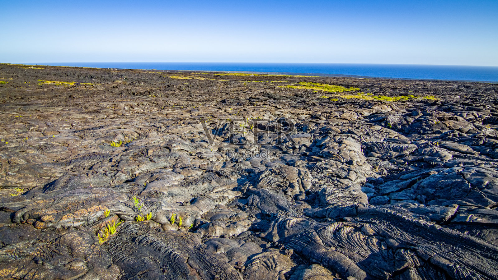 黑色的地面和绿色的植物令人惊叹的颜色。蔚蓝的海洋在地平线上。环形山公路，夏威夷火山国家公园。夏威夷。照片摄影图片