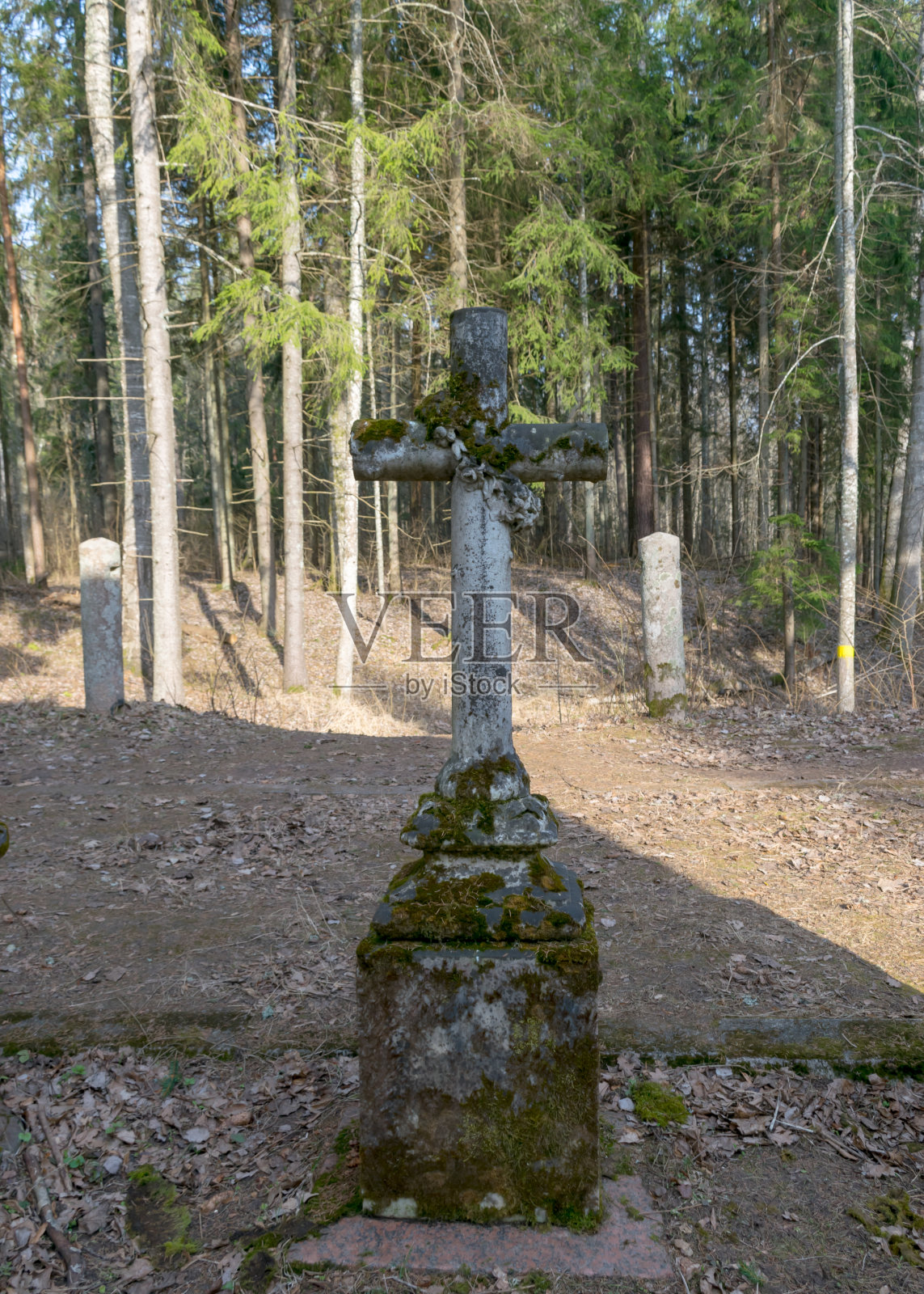 在一个古老而废弃的教堂公园的混凝土杆栅栏桩照片摄影图片