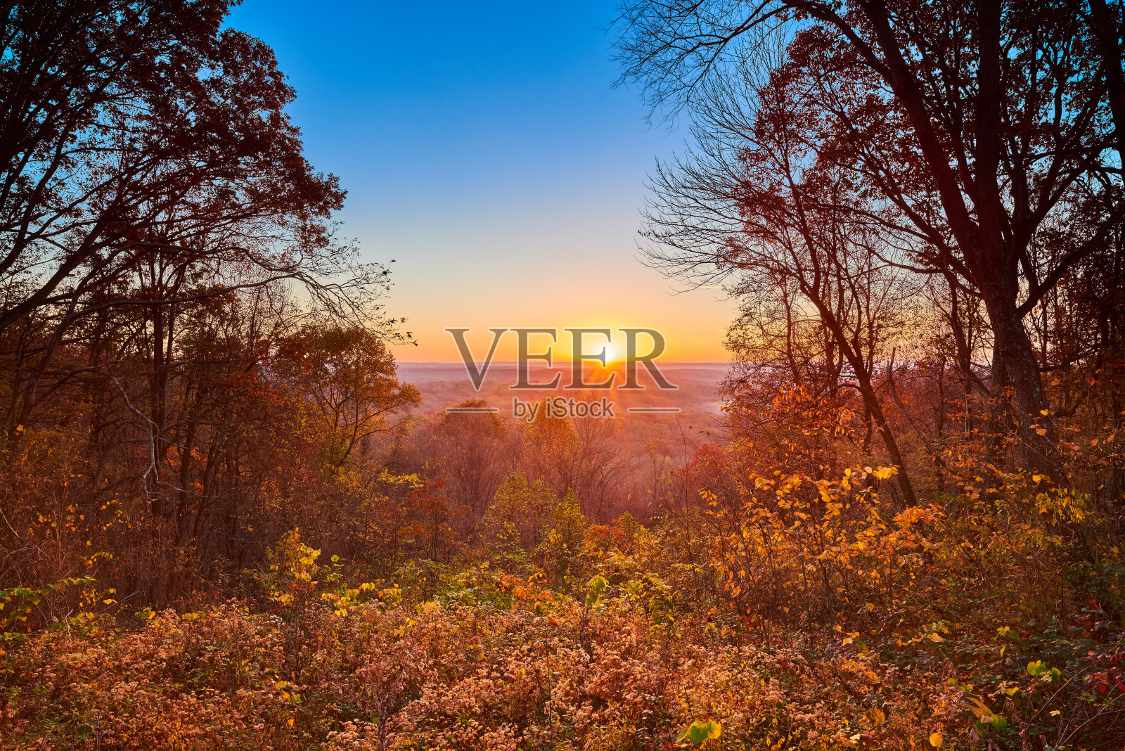 日出与秋天树叶。照片摄影图片