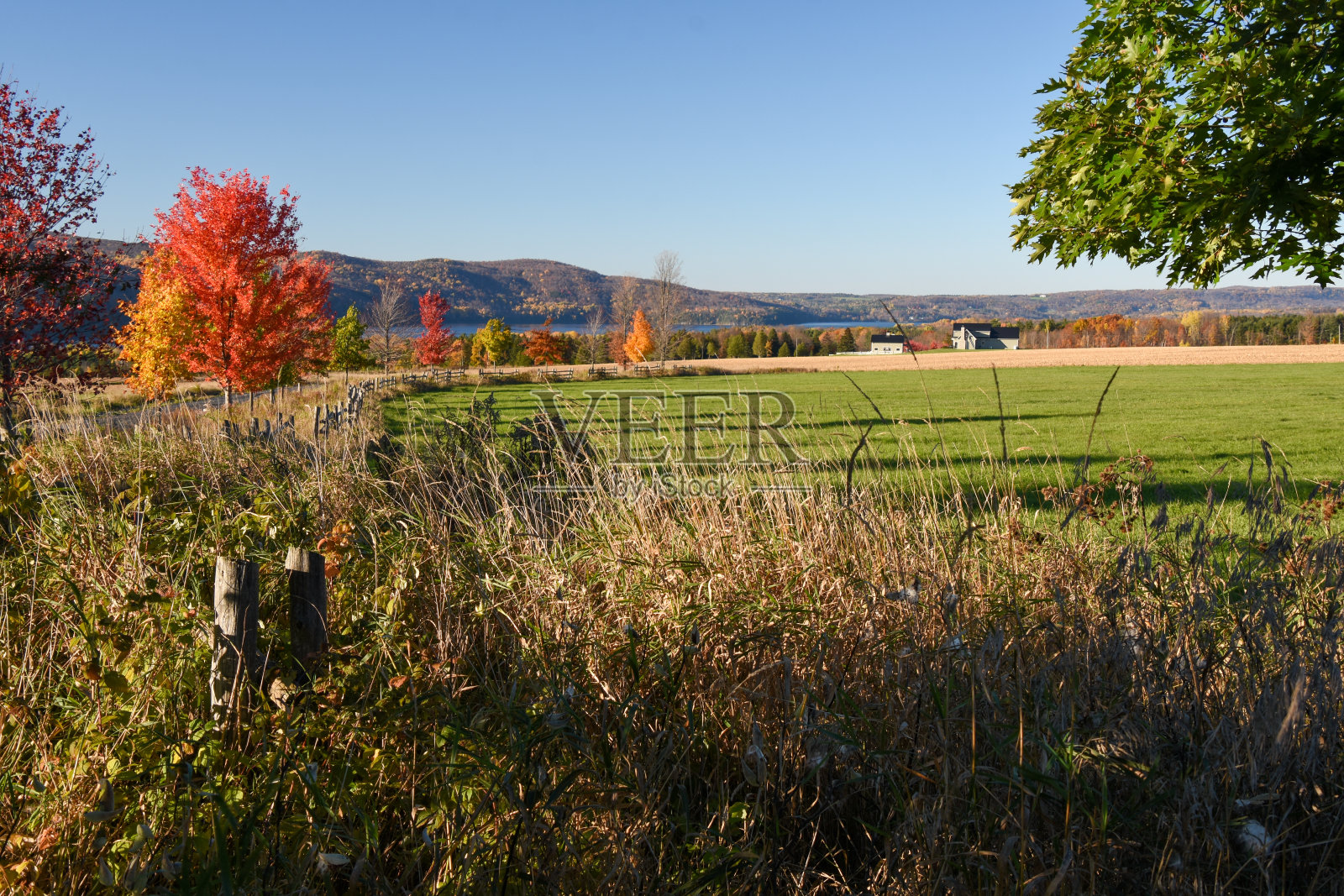 加拿大乡村的秋色照片摄影图片