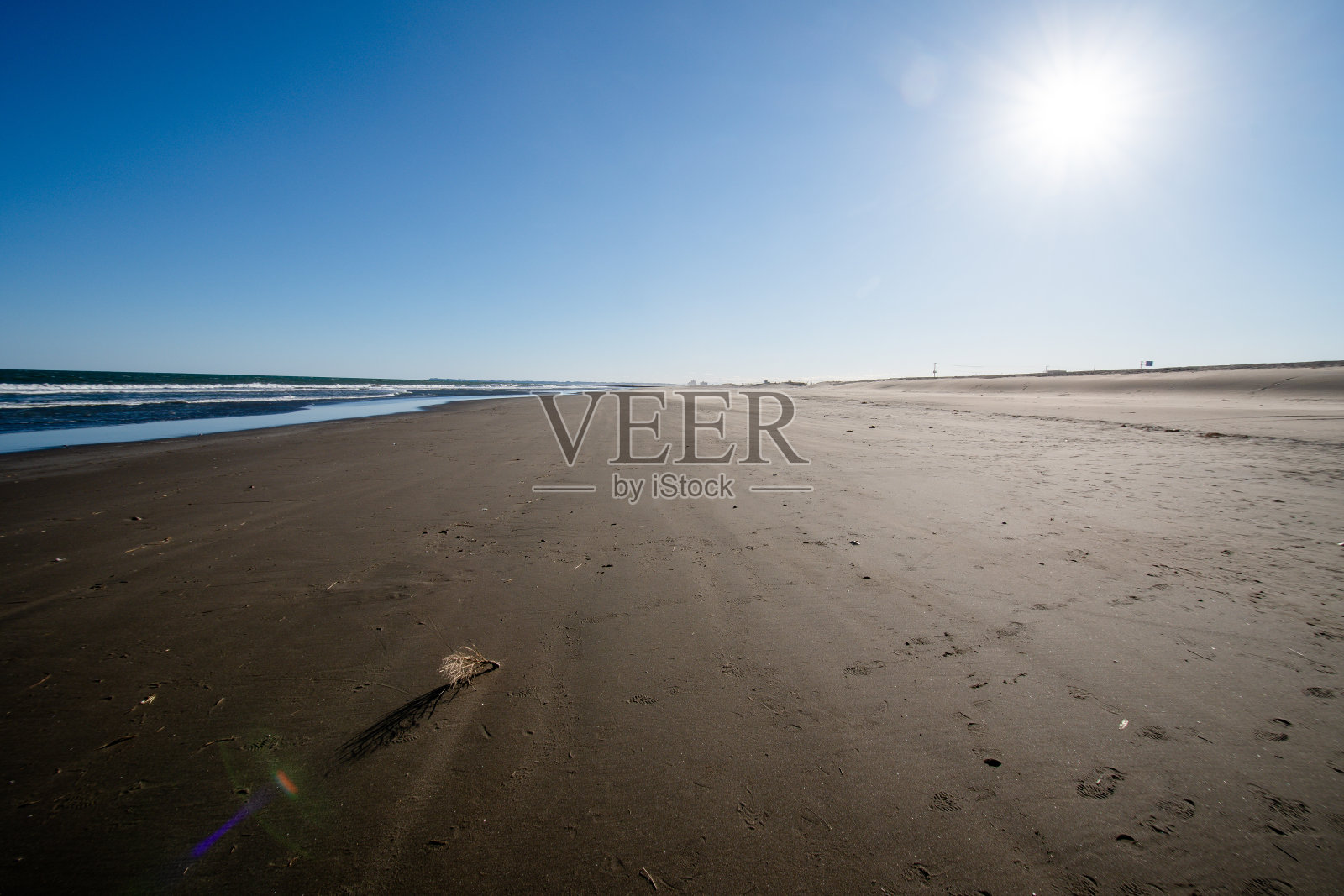 沙滩上的枯草被风吹着照片摄影图片