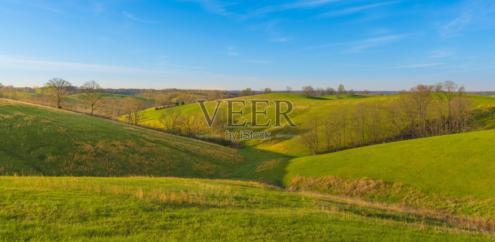 朱迪·里奇(Judy Ridge)，肯塔基州哈里森公司照片摄影图片