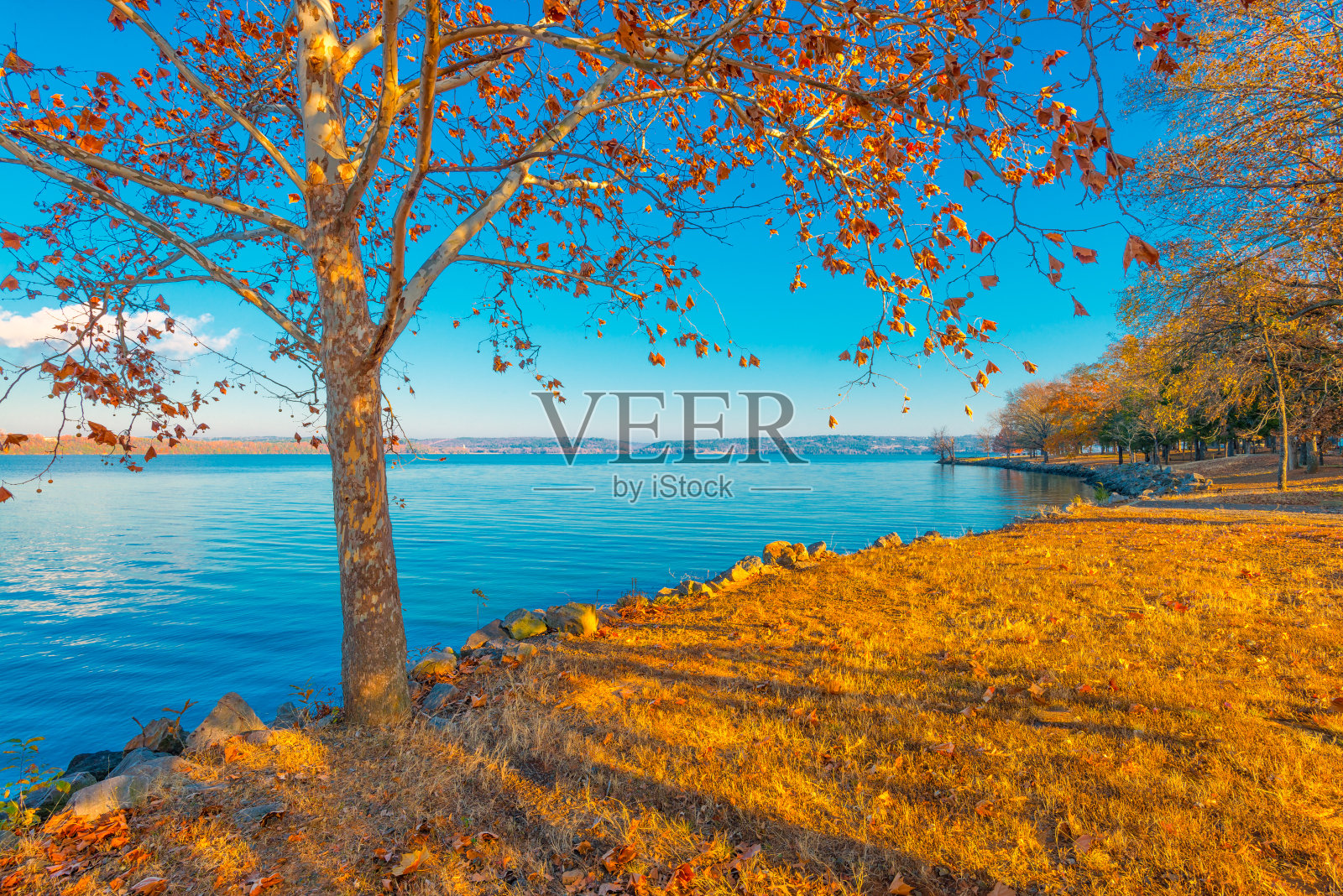 湖Dardanelle照片摄影图片