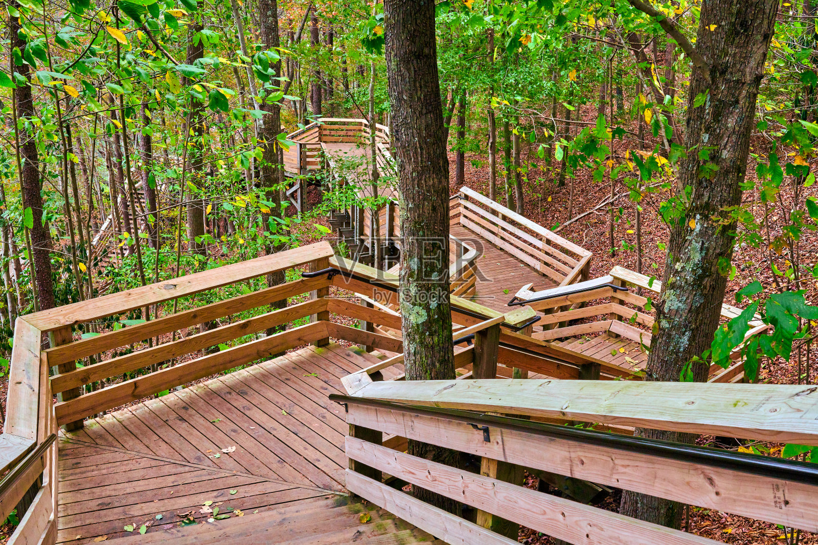森林里的木楼梯。照片摄影图片