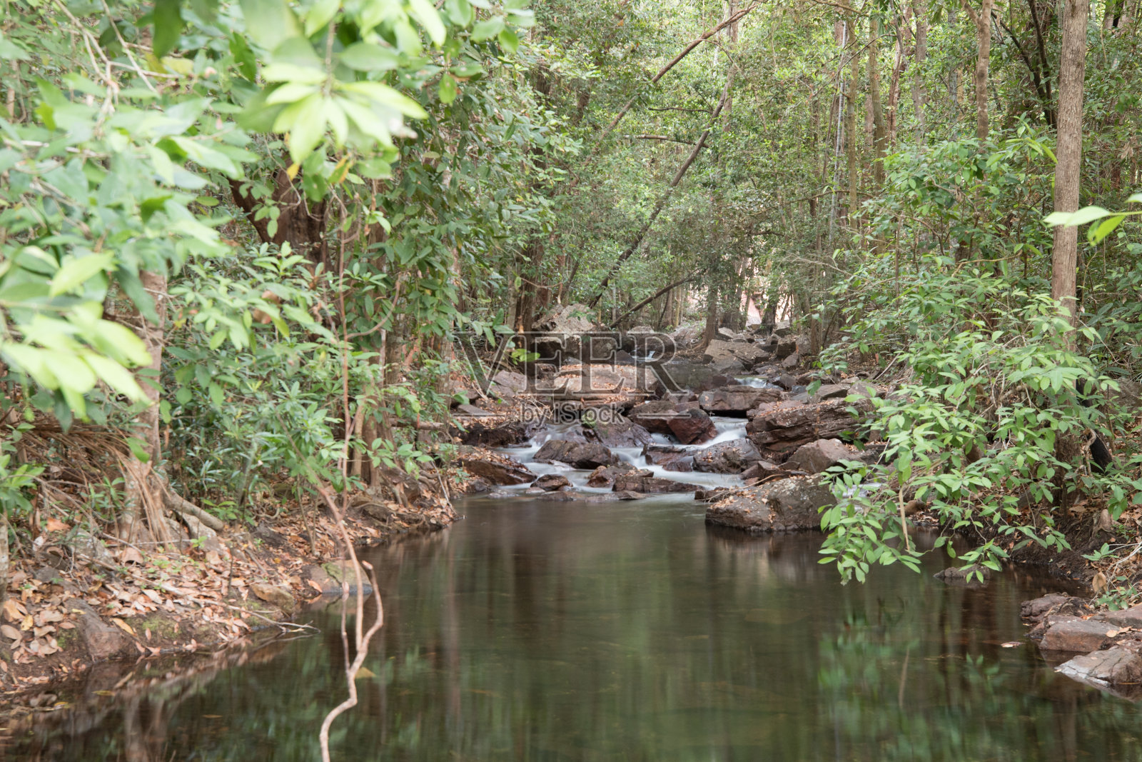 litchfield NP中的流照片摄影图片