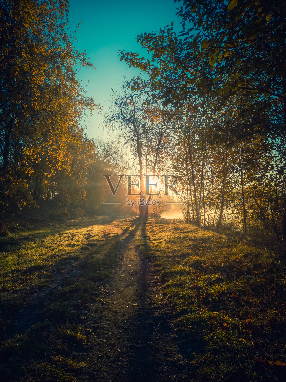 通往太阳的小径照片摄影图片