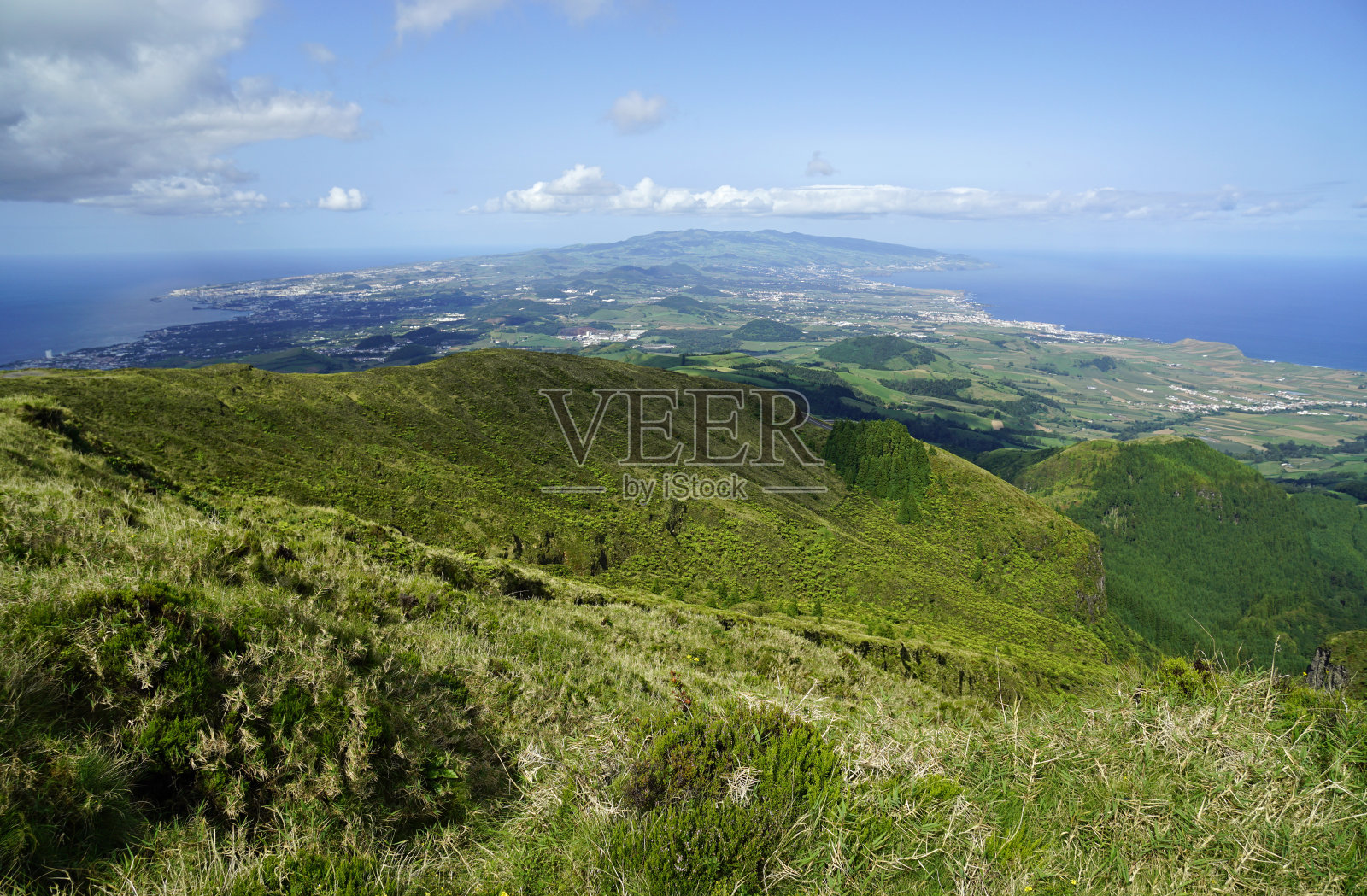 亚速尔群岛SAO miguel岛上令人惊叹的绿色景观照片摄影图片