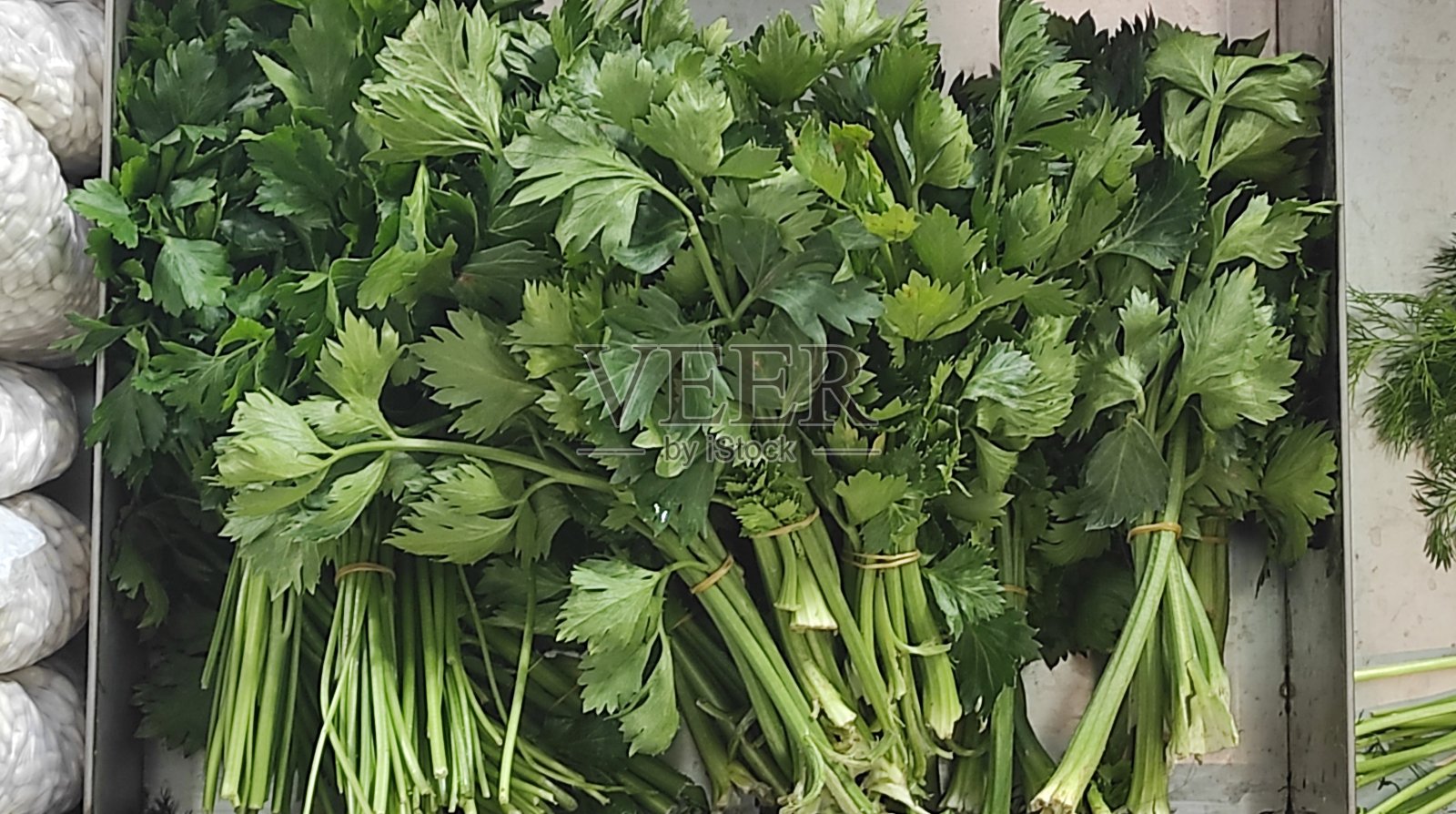 现实的蔬菜照片摄影图片