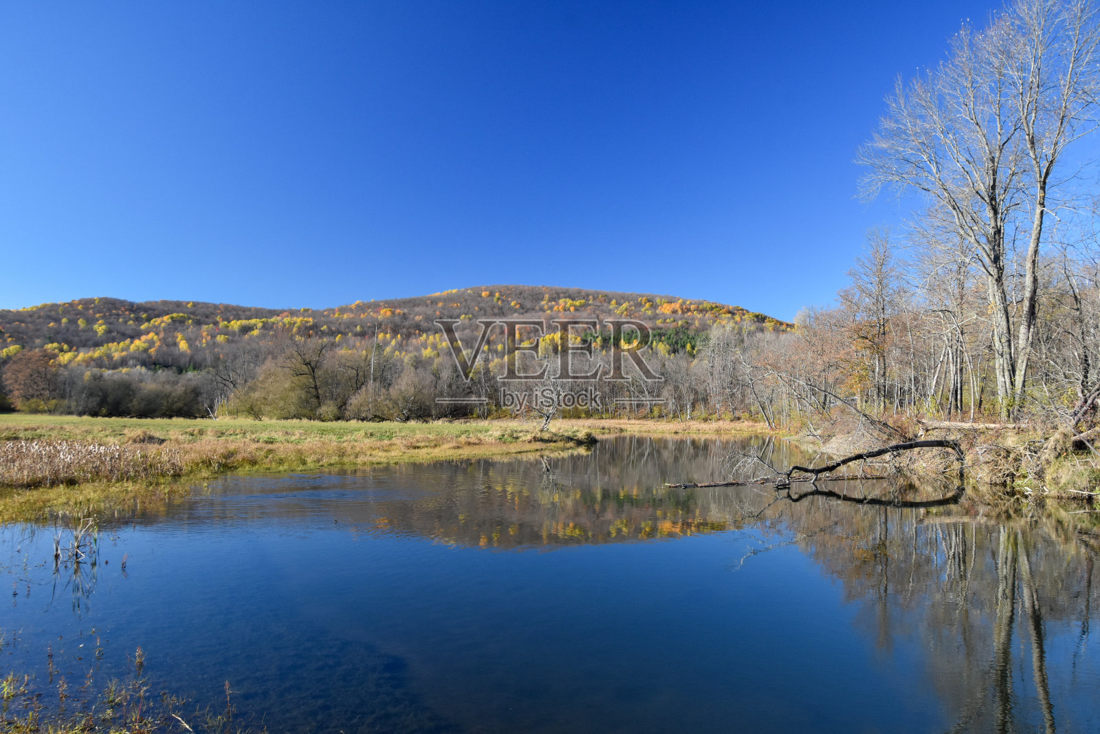 秋天的色彩在加拿大森林与小河流照片摄影图片