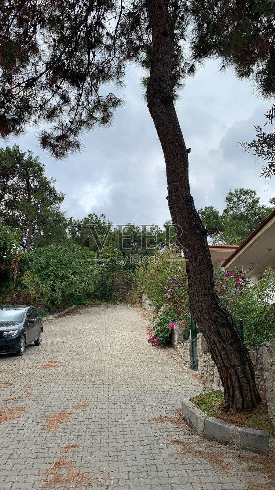 死胡同照片摄影图片