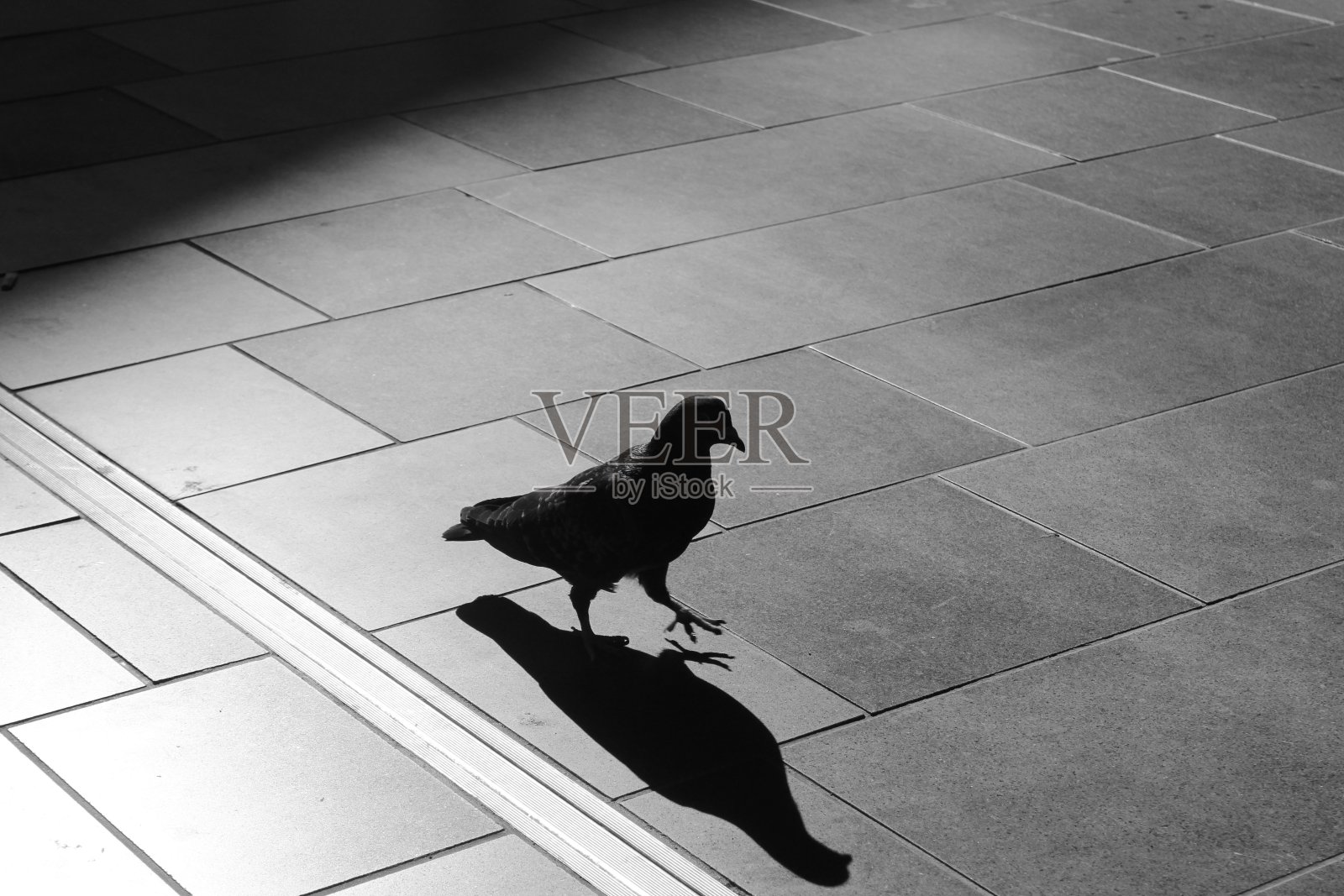 影子照片摄影图片