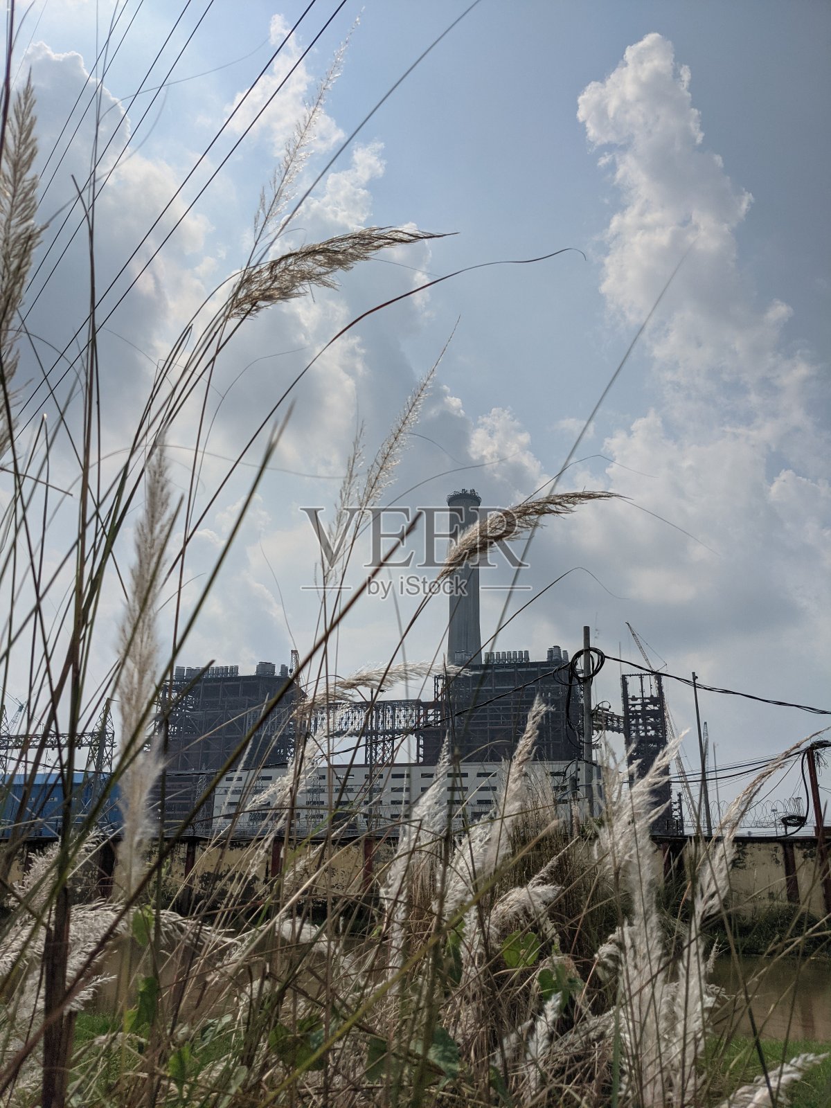 背景照片摄影图片