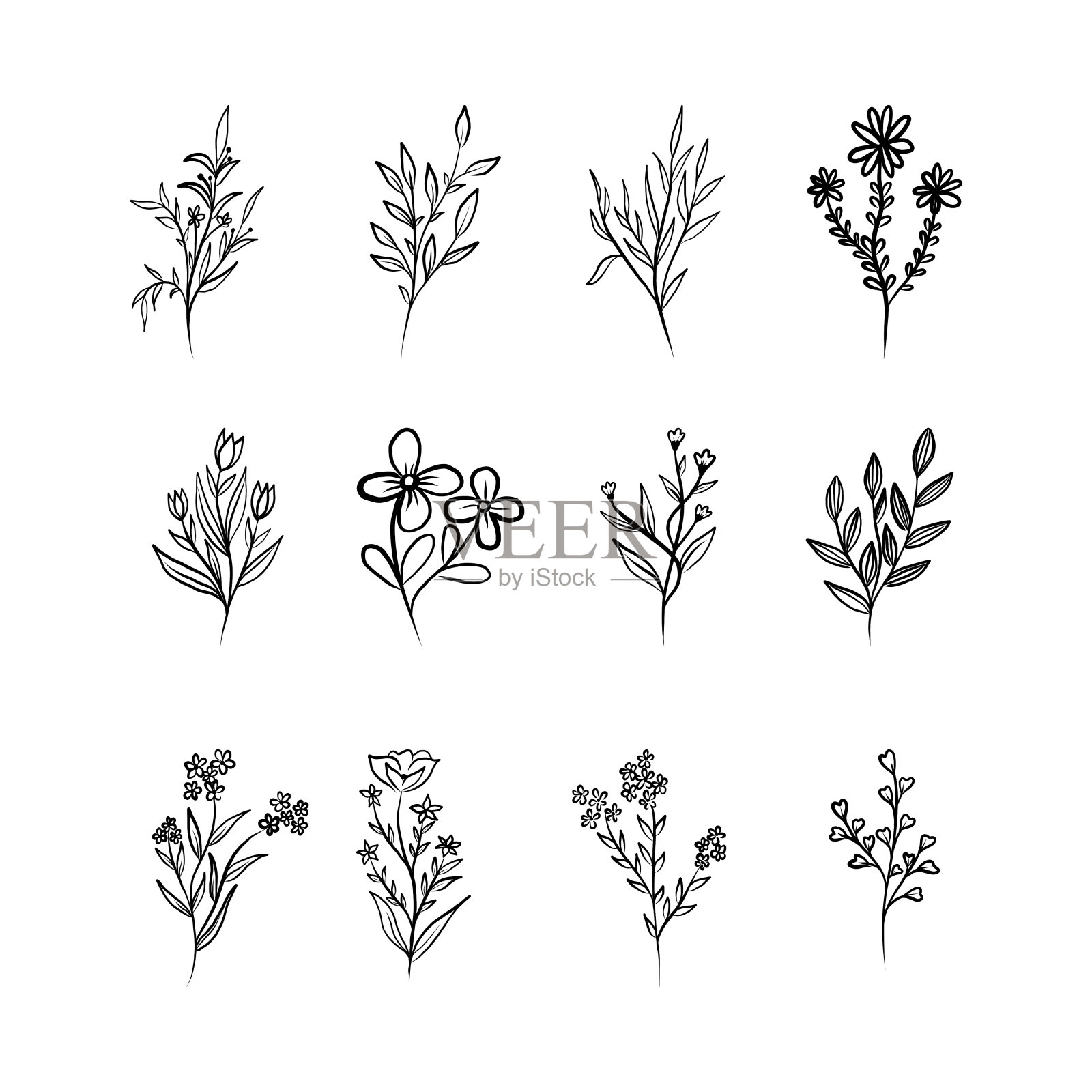 向量花卉设计元素集。插画图片素材