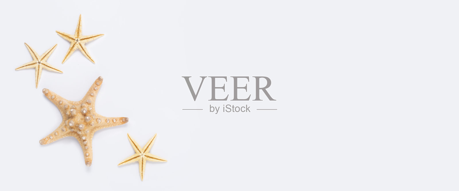 白色背景上美丽的海星。俯视图，平躺。横幅照片摄影图片