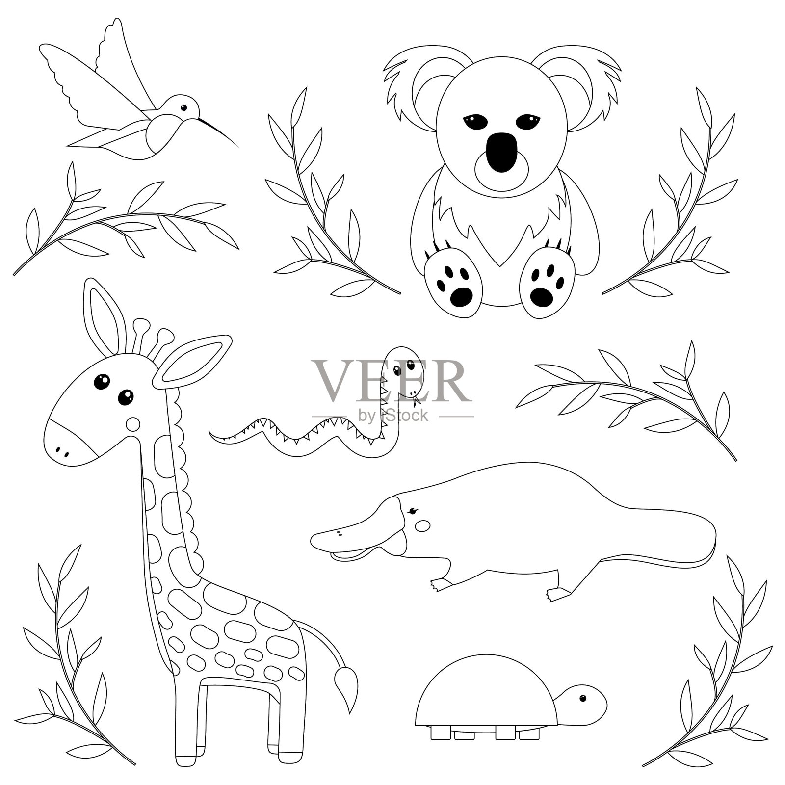 着色页卡通动物矢量插图。孤立的动物轮廓图画书。向量黑色和白色的轮廓动物。蜂鸟，熊猫，长颈鹿，蛇，鸭嘴兽，乌龟。插画图片素材