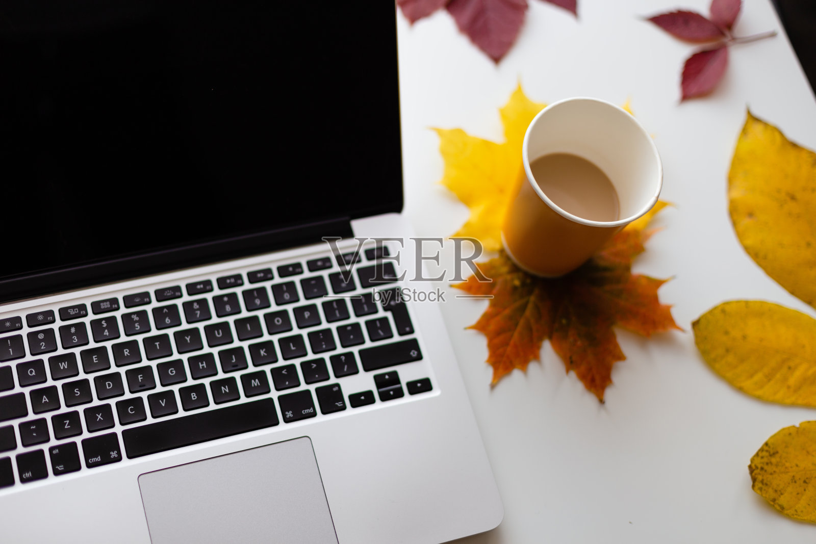 一台笔记本电脑，一杯咖啡，还有秋叶。前视图。照片摄影图片