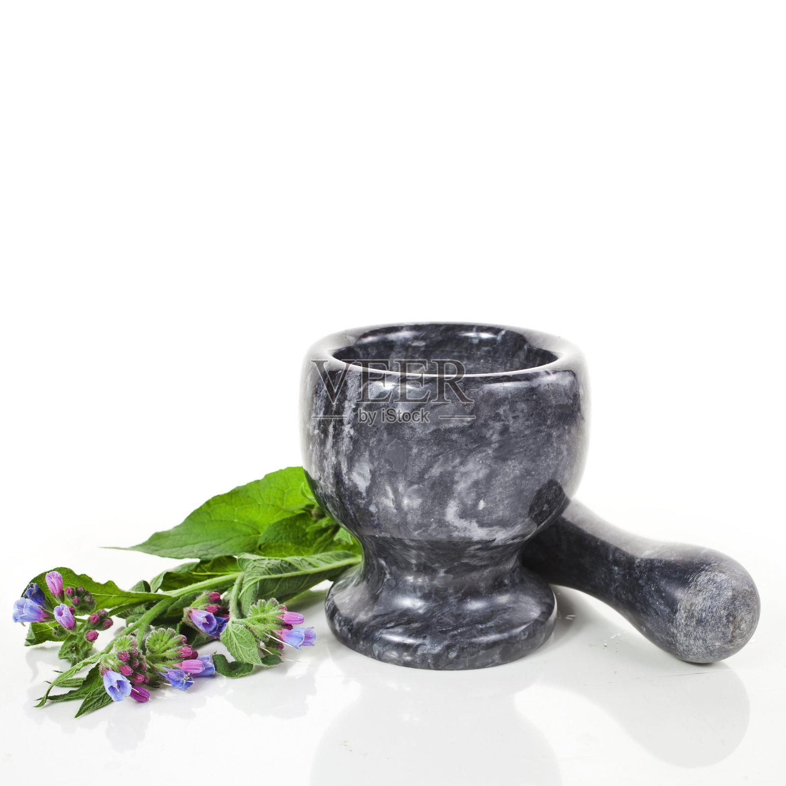 石臼里的普通聚合草(石臼草属照片摄影图片