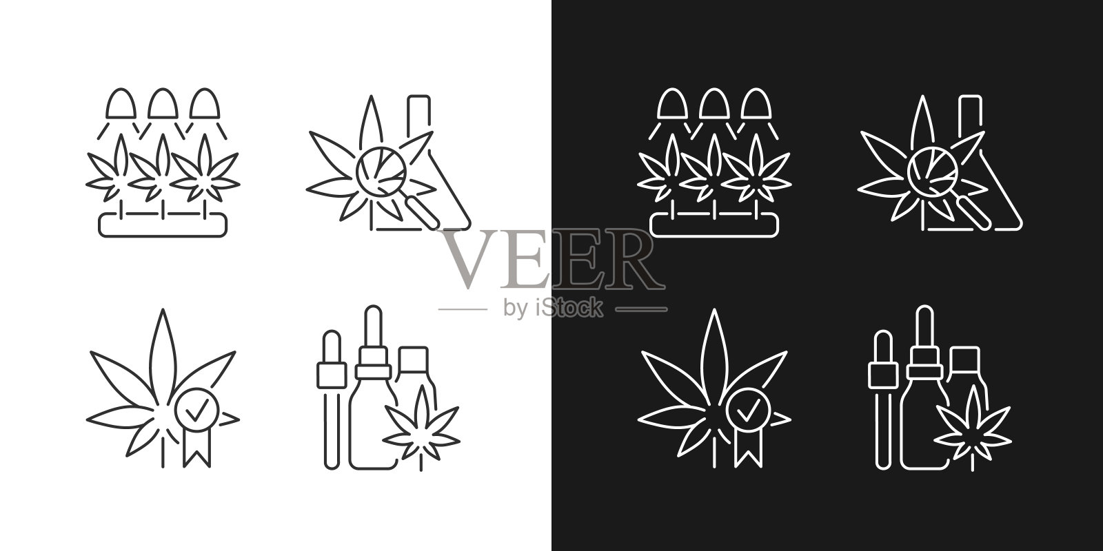 大麻生长的线性图标设置为黑暗和光明模式插画图片素材