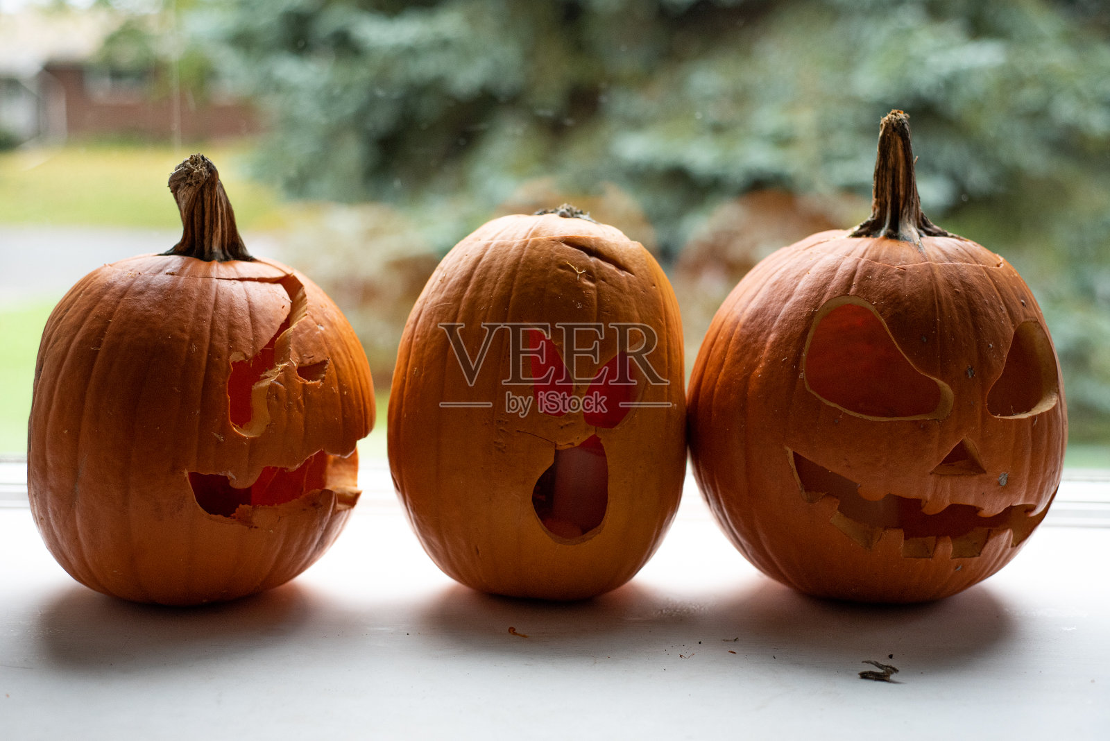 南瓜照片摄影图片