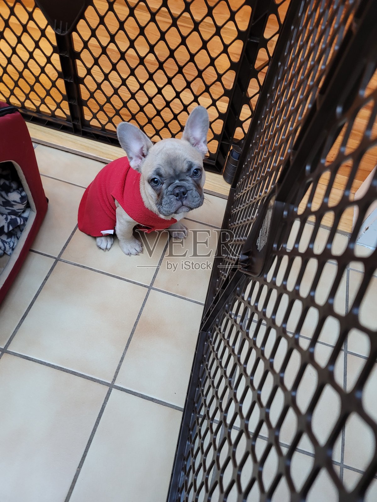 法国人照片摄影图片