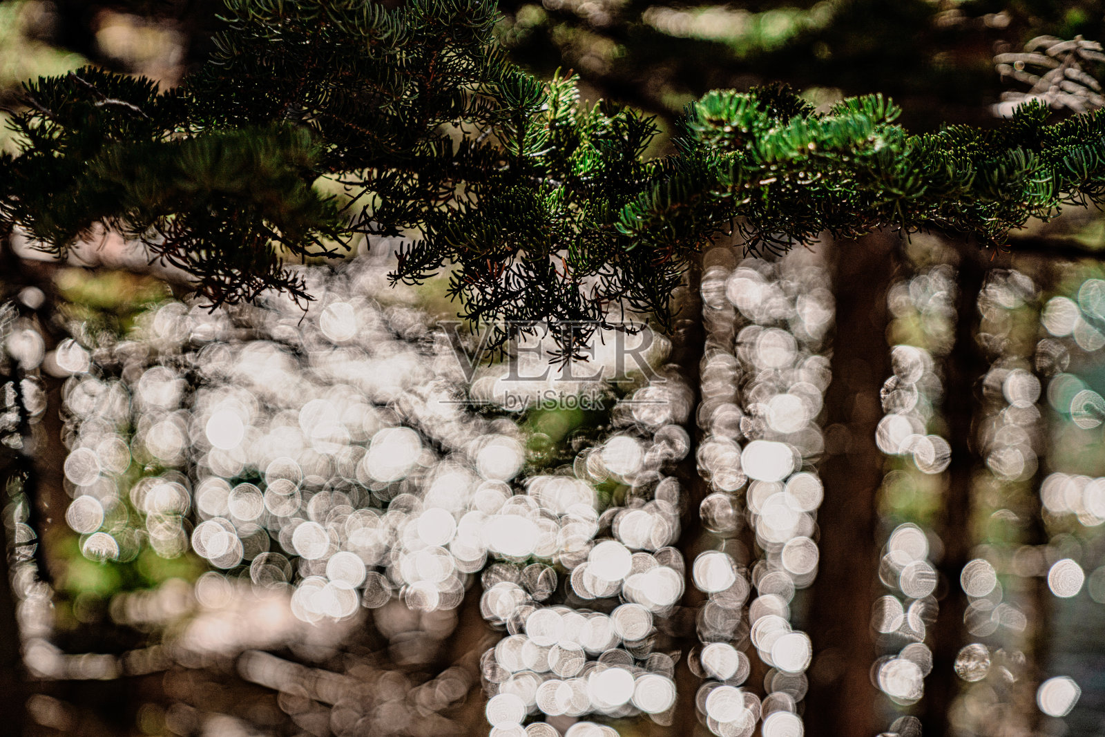 落基山国家公园景观照片摄影图片