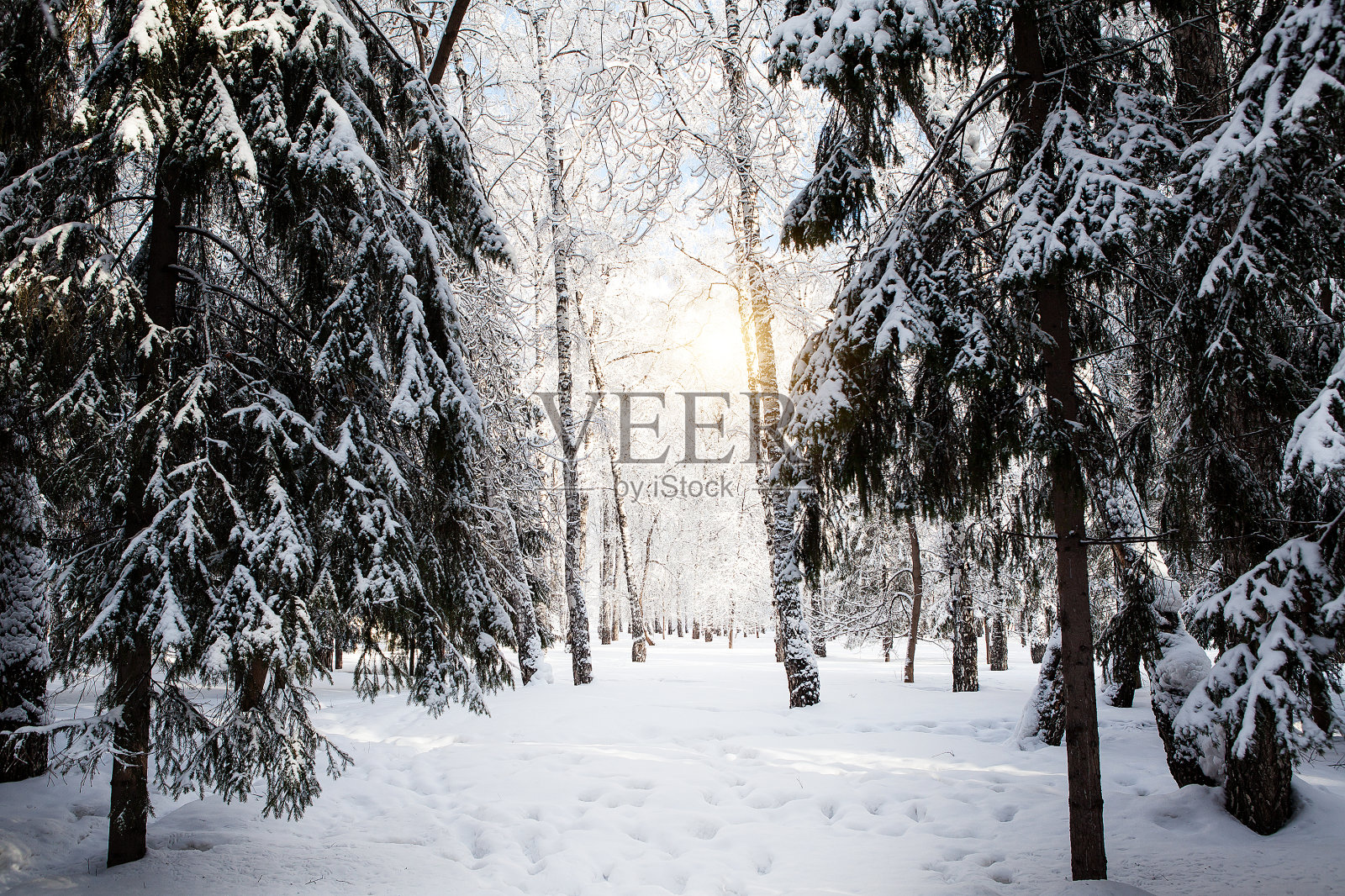 冬天的自然景观照片摄影图片