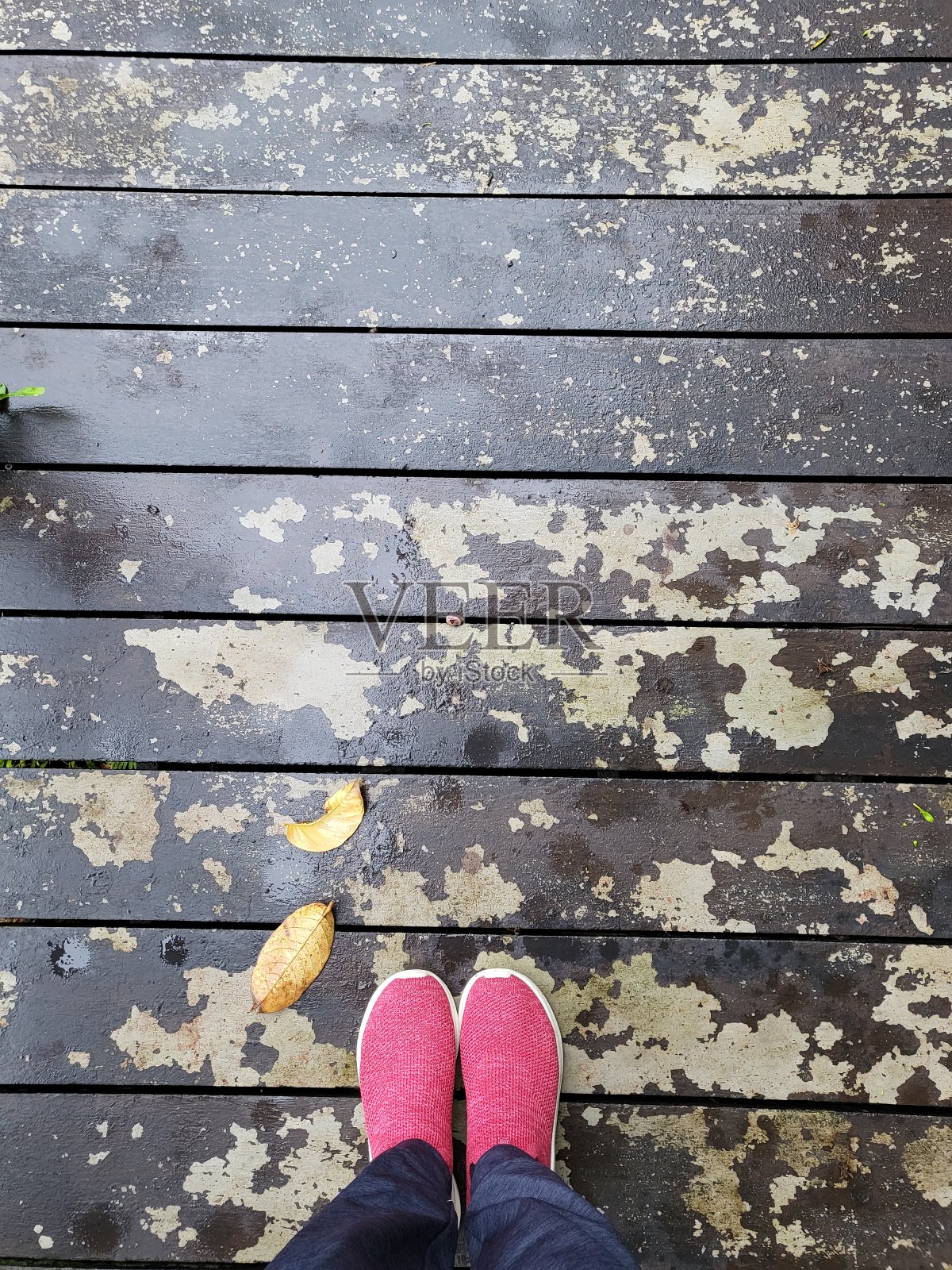 站在质朴的木制平台上。照片摄影图片