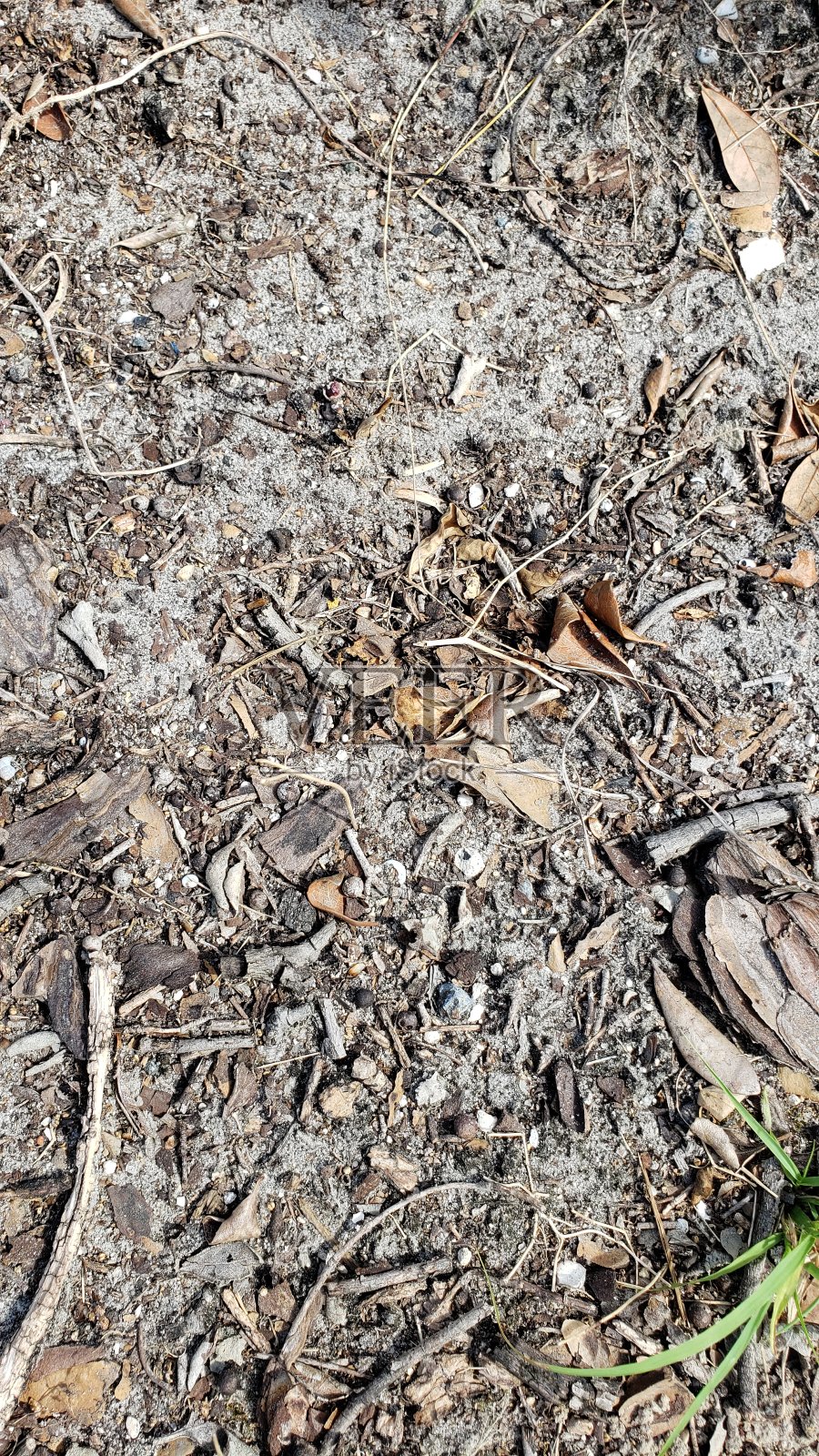 落干泥块照片摄影图片