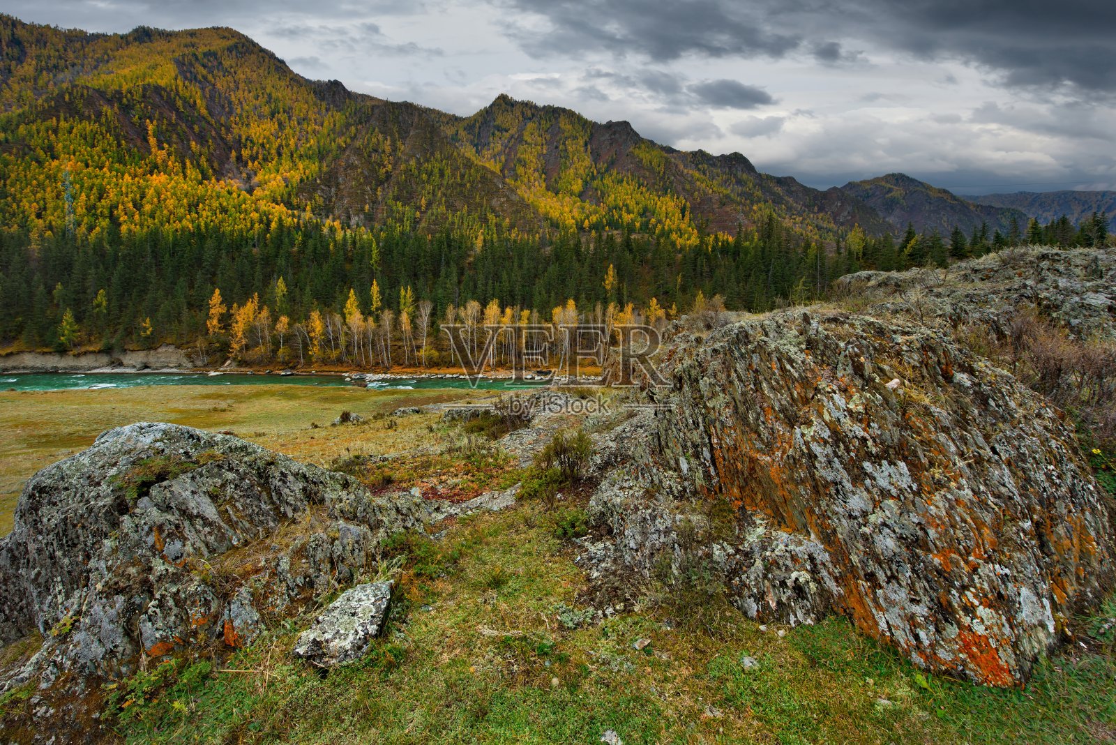 阿尔泰河谷的异类照片摄影图片