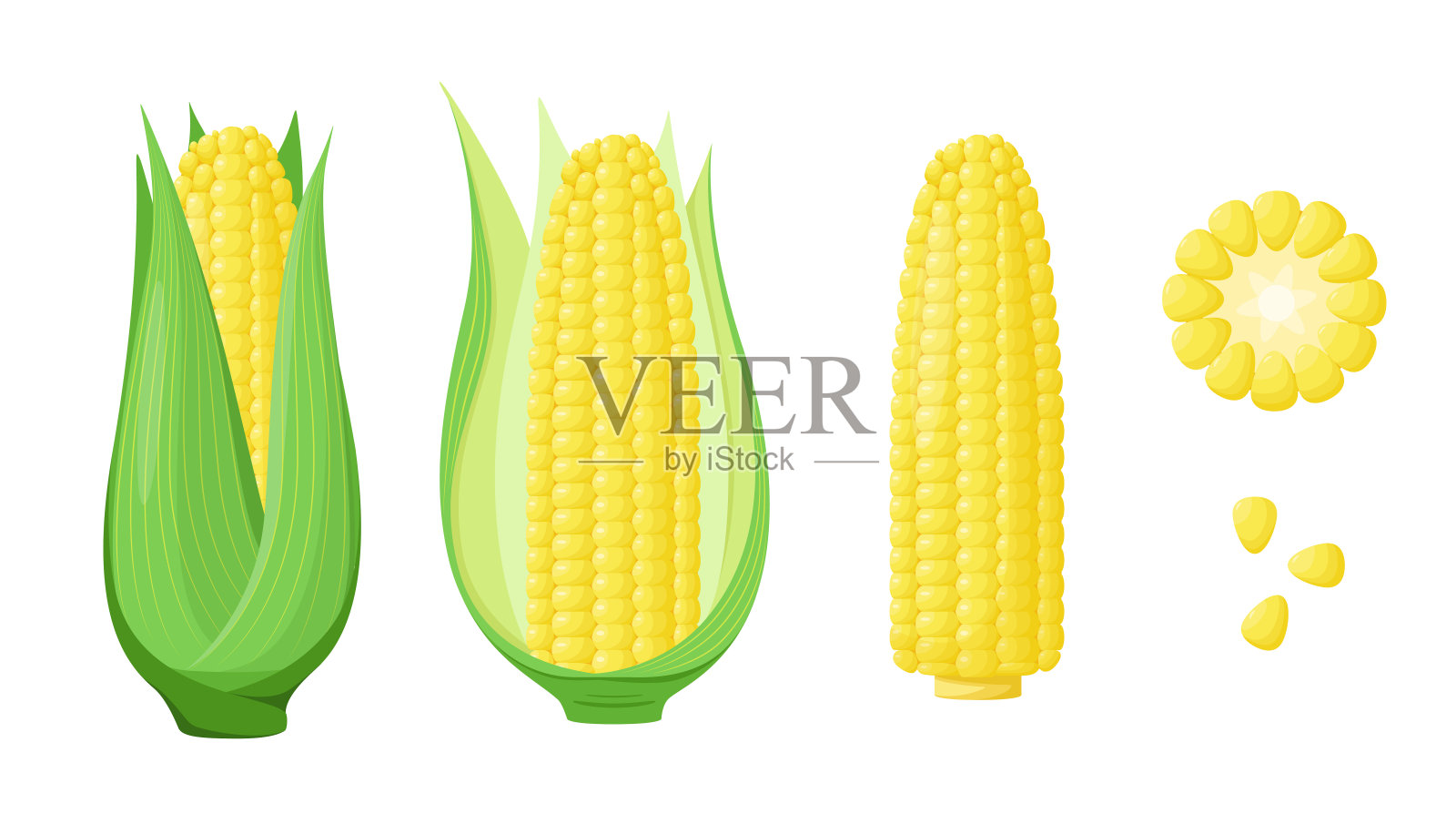 一组玉米插画插画图片素材