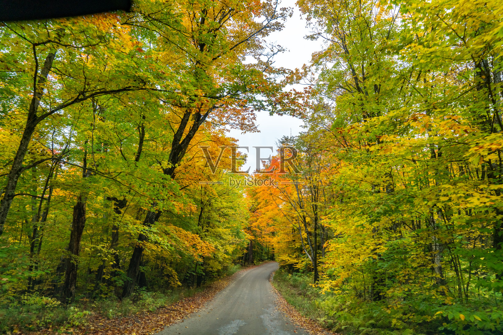 加拿大阿尔冈昆省公园，探路者岛和源湖的秋色照片摄影图片