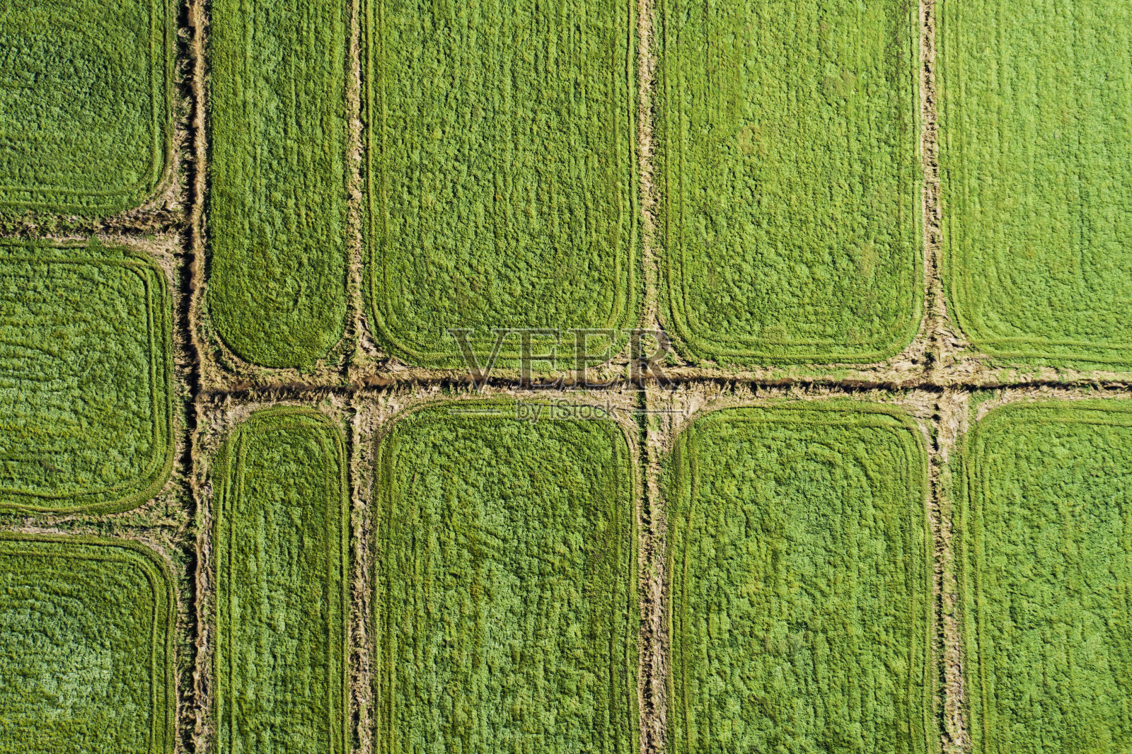 河漫滩草原照片摄影图片
