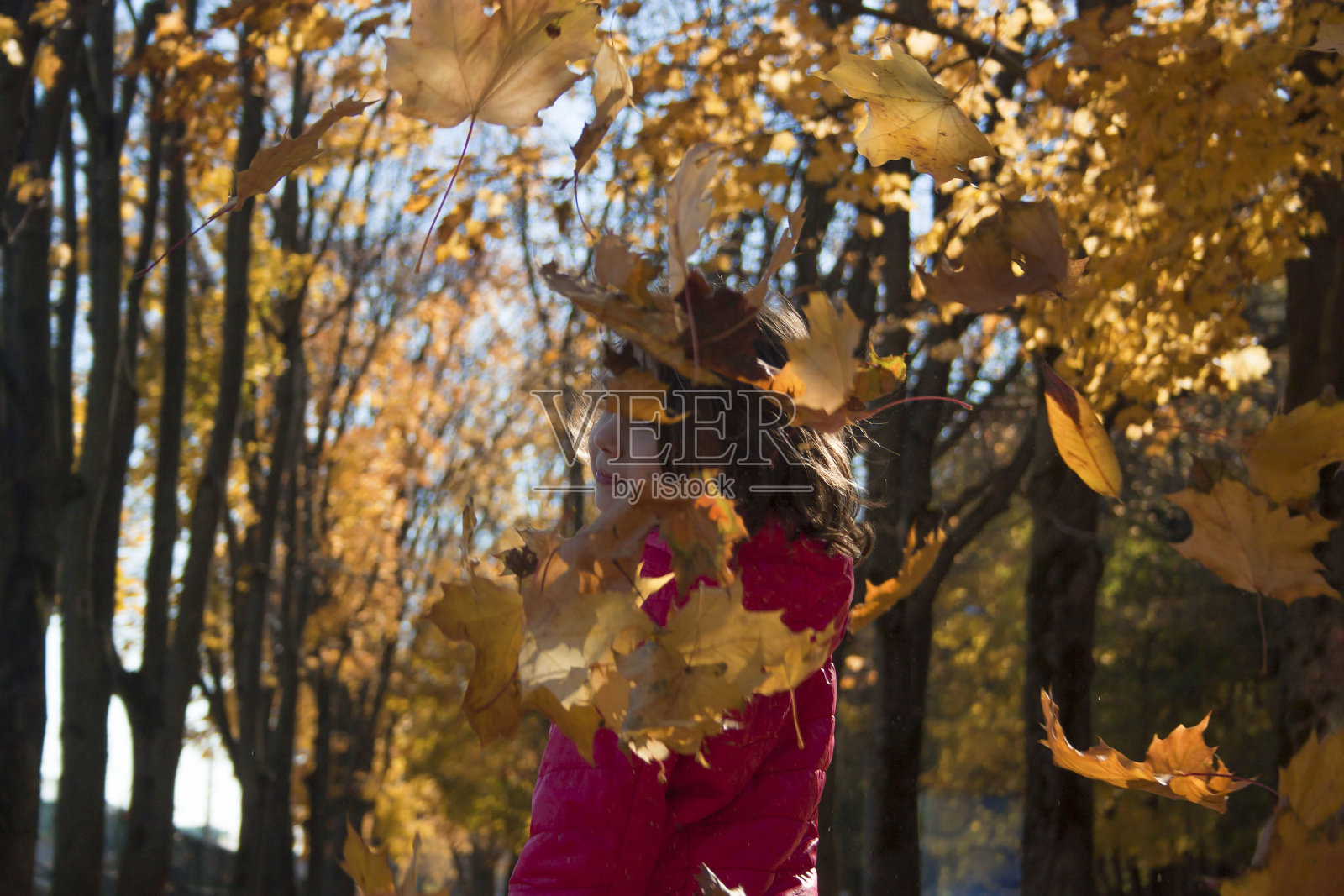 一个女孩在秋天的森林背景。秋天的落叶。照片摄影图片