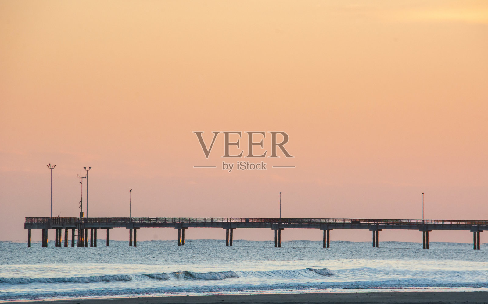 阿伦萨斯港，德克萨斯海湾海岸，墨西哥海湾的水鸟照片摄影图片