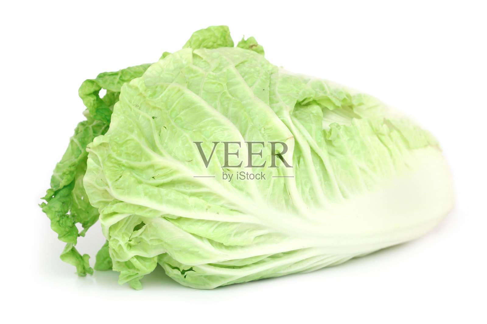 新鲜的白菜照片摄影图片