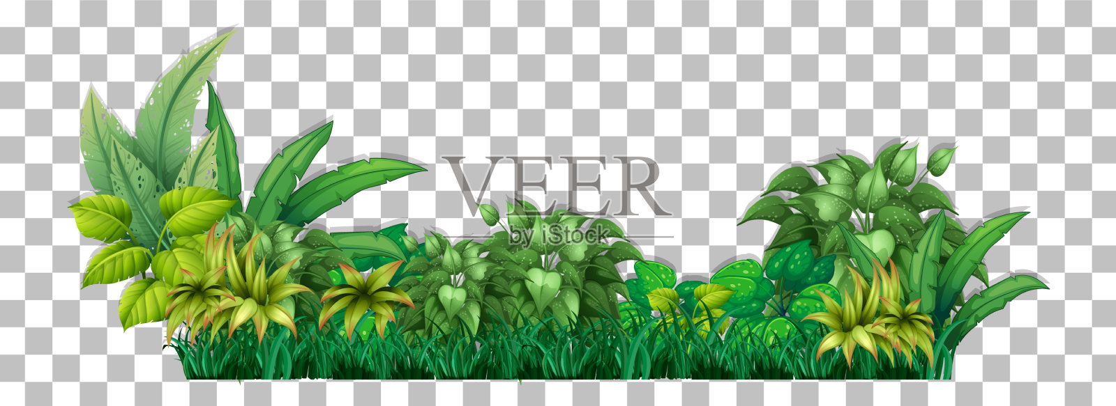 透明背景上的热带植物插画图片素材