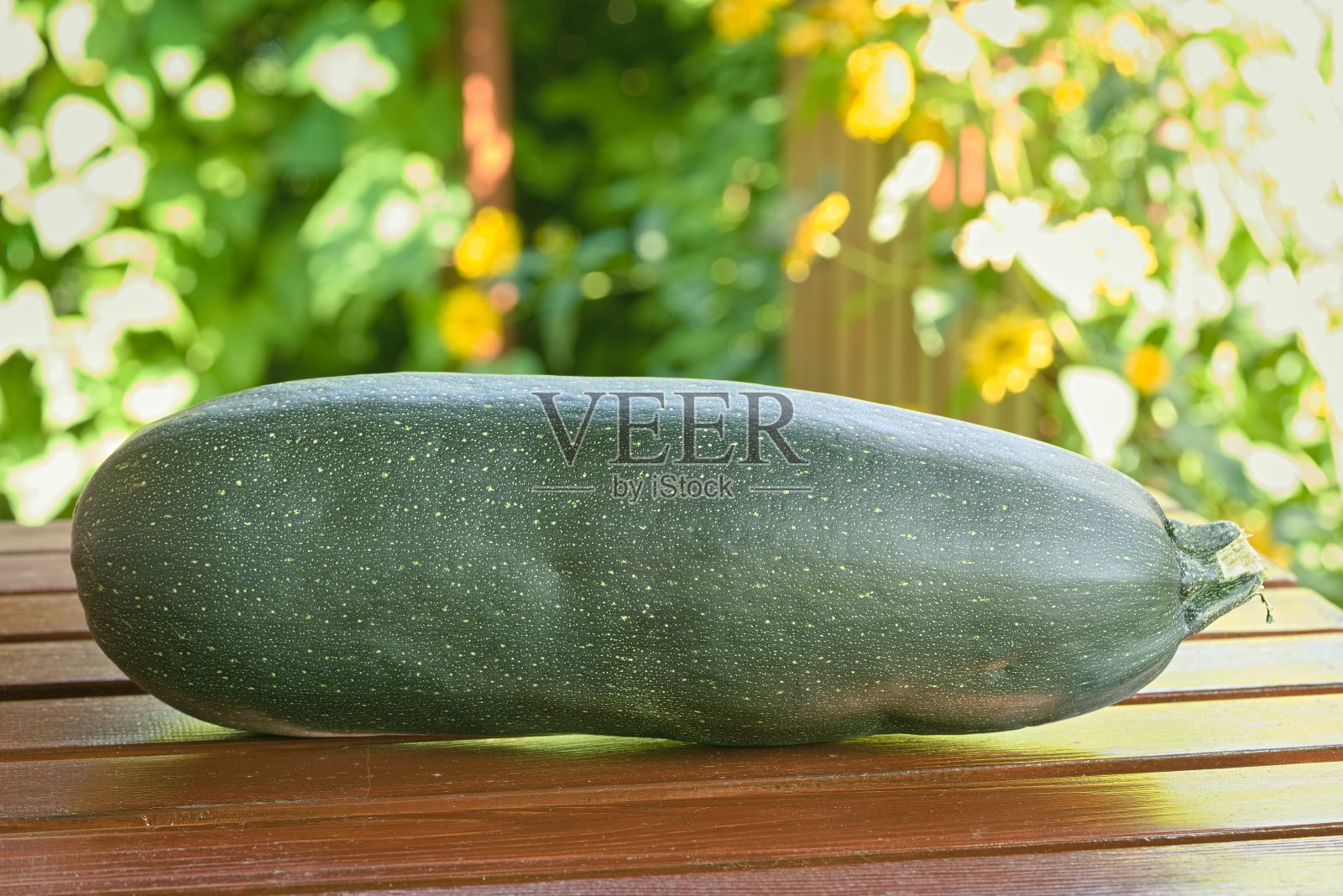 夏天，成熟的西葫芦躺在花园里的木桌上照片摄影图片
