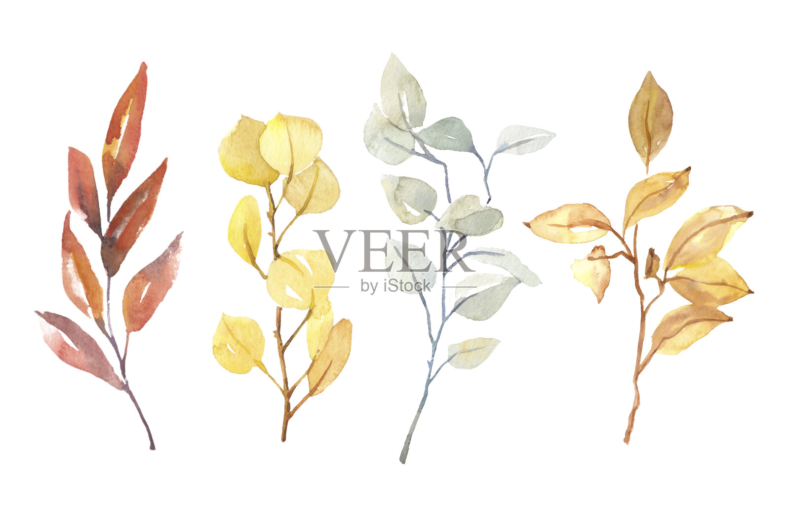 水彩手绘植物秋天草药树叶和树枝插图孤立在白色的背景插画图片素材