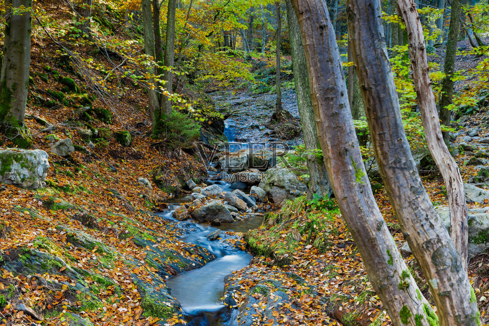 宁林坡山谷里的秋日日出，有着美丽的秋色和温暖的阳光照片摄影图片