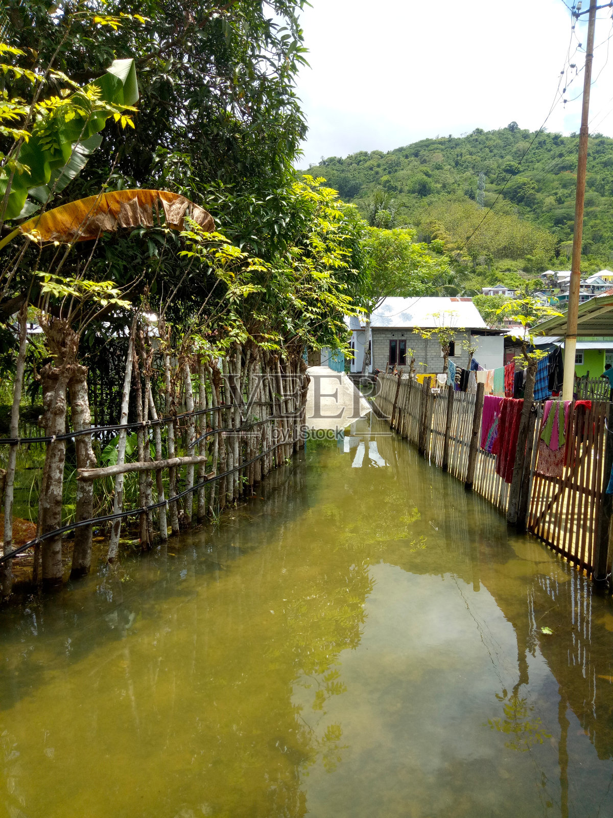 庭院和花园被一夜的洪水淹没。照片摄影图片