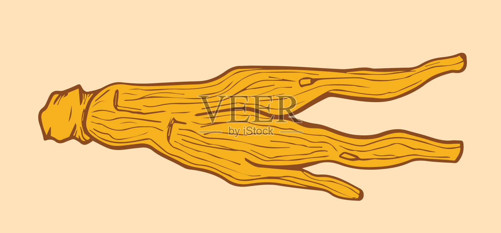 红参干插图。插画图片素材