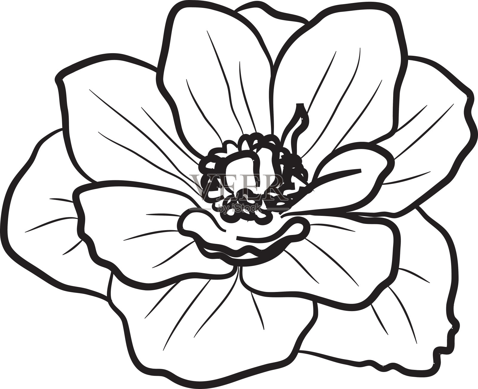 手画涂鸦花圈装饰装饰边界卡邀请插画图片素材