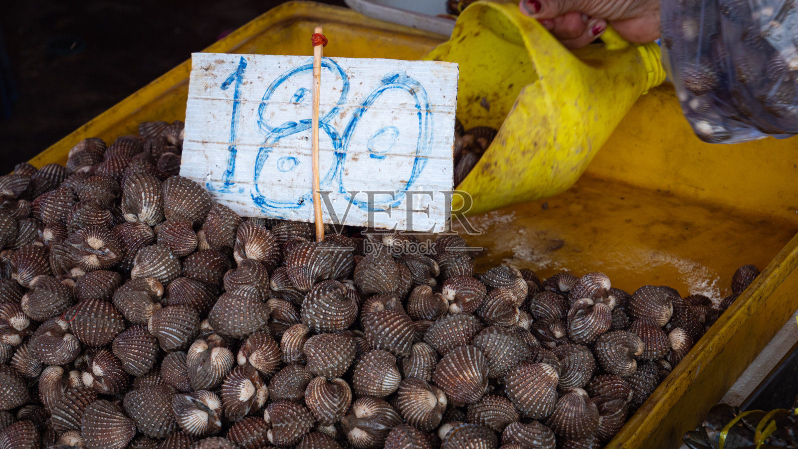 在新鲜市场买海鲜菜肴。扇贝在出售或烹饪前会有很多泥。准备食物吃。照片摄影图片