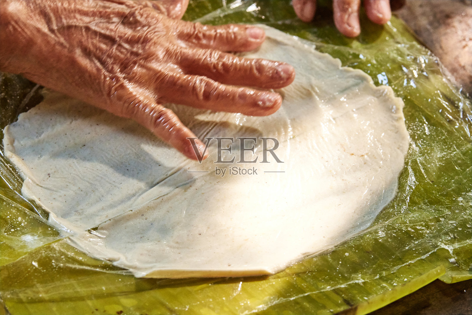 传统的墨西哥食物。瓦哈卡摩尔玉米粉蒸肉。辣。homestyle食物照片摄影图片